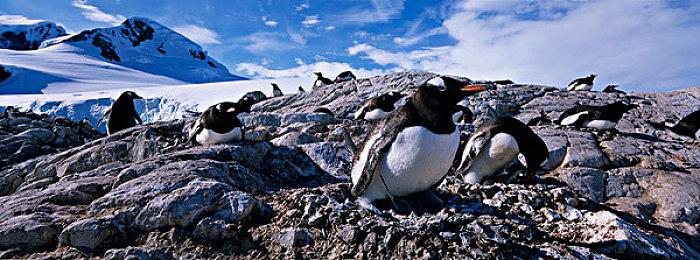 《巫师：怪物杀手》一周下载量已达100万次 流水高达50万美元